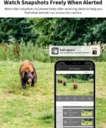 SEHMUA 4G LTE 3rd Gen Cellular Trail Cameras - Image 2